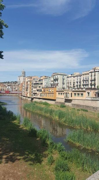  - Girona Temps de flor 2017