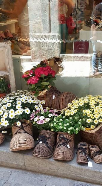  - Girona Temps de flor 2017