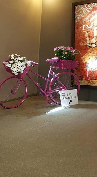  - Girona Temps de flor 2017