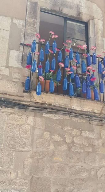  - Girona Temps de flor 2017
