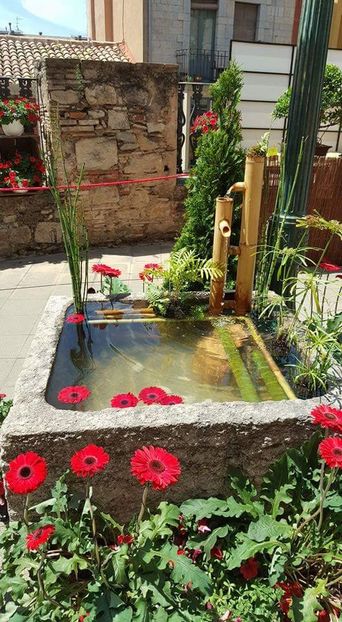  - Girona Temps de flor 2017