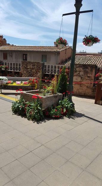  - Girona Temps de flor 2017