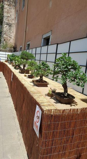  - Girona Temps de flor 2017