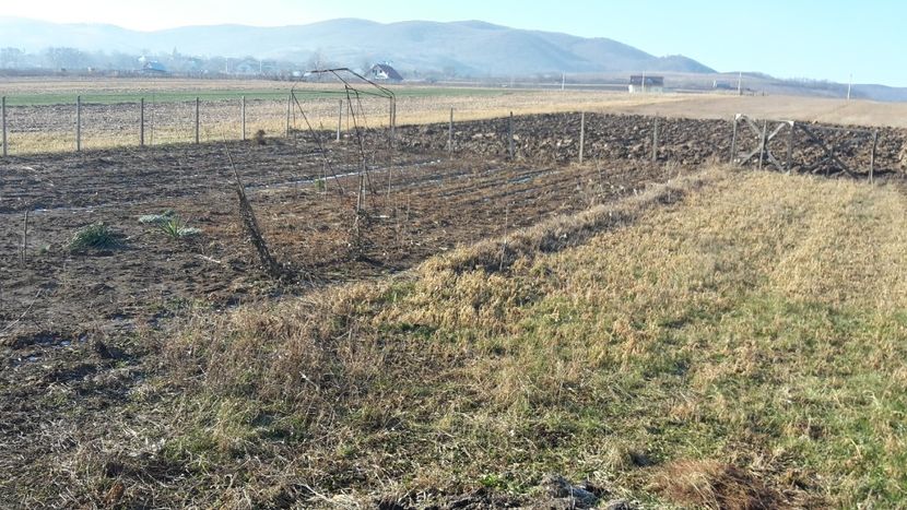  - Mini-iaz sau pur si simplu balta noastra