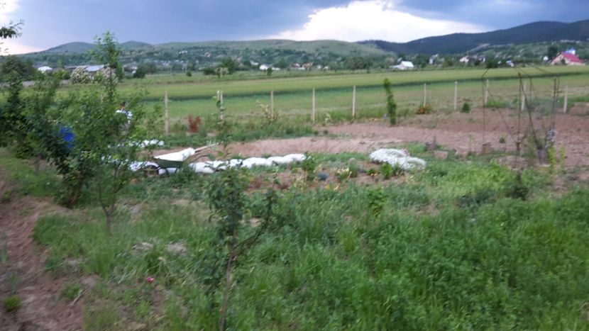  - Mini-iaz sau pur si simplu balta noastra