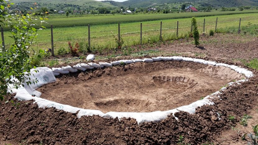  - Mini-iaz sau pur si simplu balta noastra