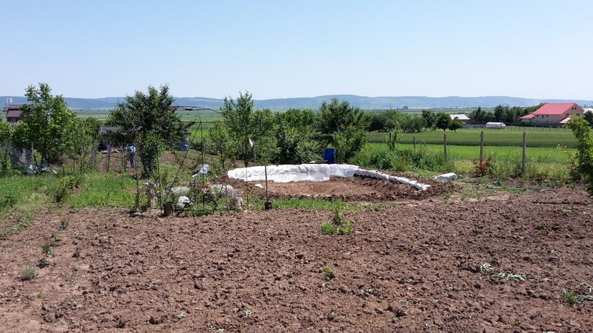  - Mini-iaz sau pur si simplu balta noastra