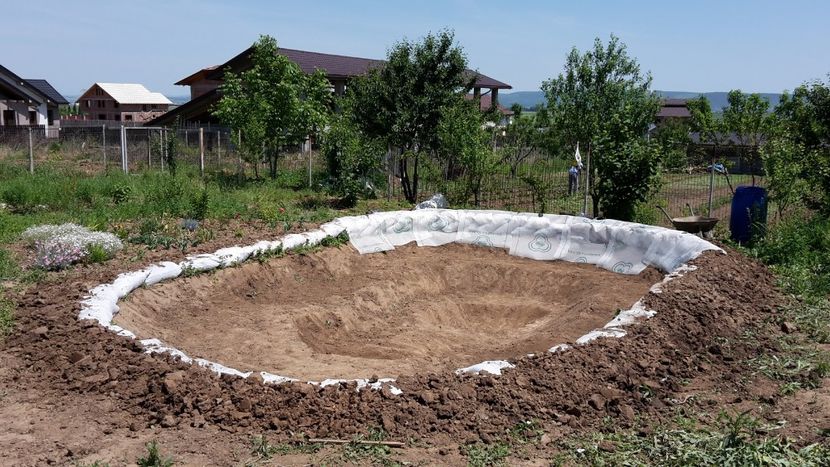  - Mini-iaz sau pur si simplu balta noastra