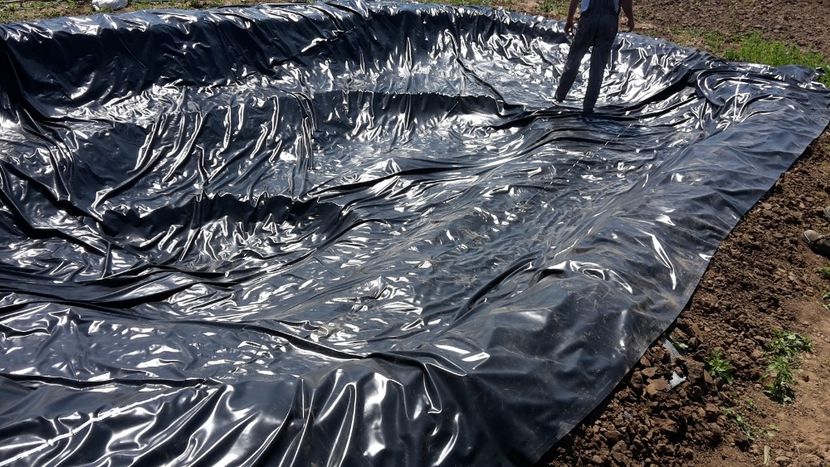  - Mini-iaz sau pur si simplu balta noastra