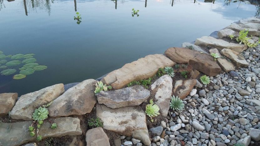 20495515_1551578424894075_1016363525_o - Mini-iaz sau pur si simplu balta noastra