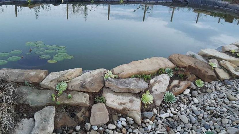  - Mini-iaz sau pur si simplu balta noastra