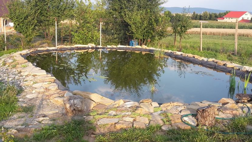  - Mini-iaz sau pur si simplu balta noastra