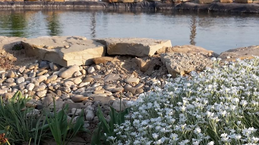  - Mini-iaz sau pur si simplu balta noastra