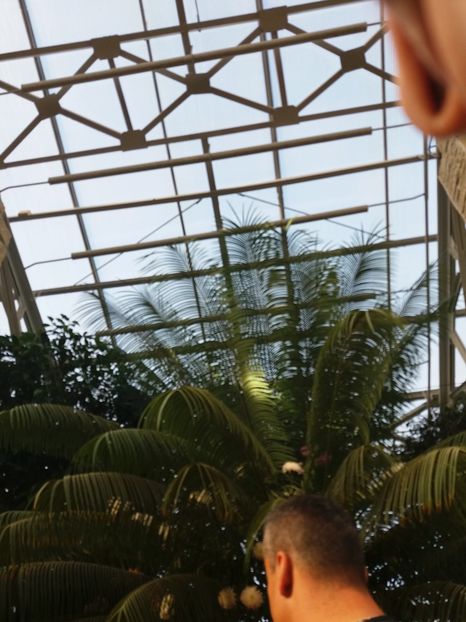  - 6Expozitia crizanteme 2018 Gradina Botanica IASI