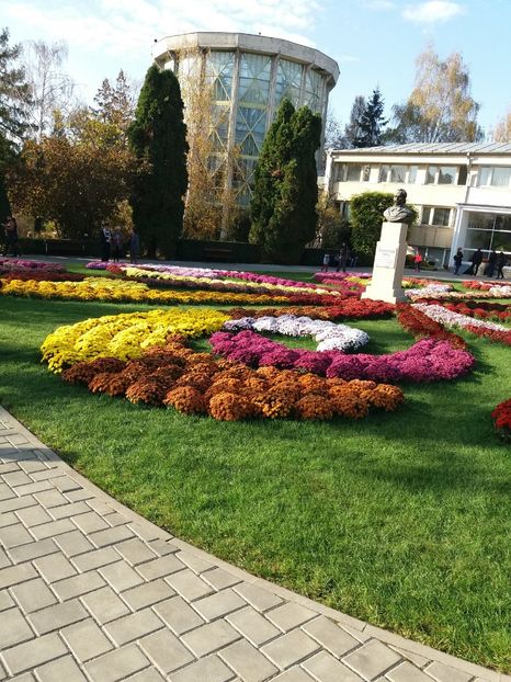  - 6Expozitia crizanteme 2018 Gradina Botanica IASI