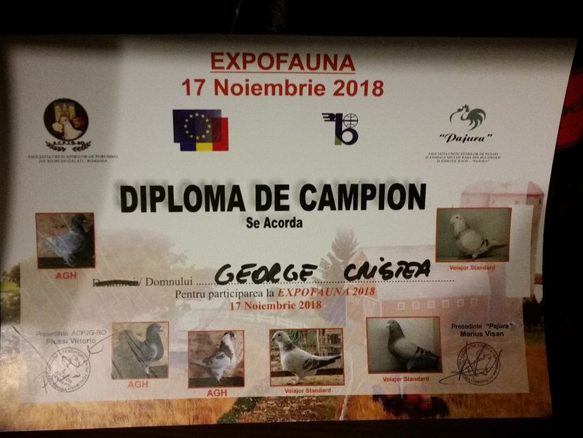  - Expo Fauna 17 noiembrie 2018