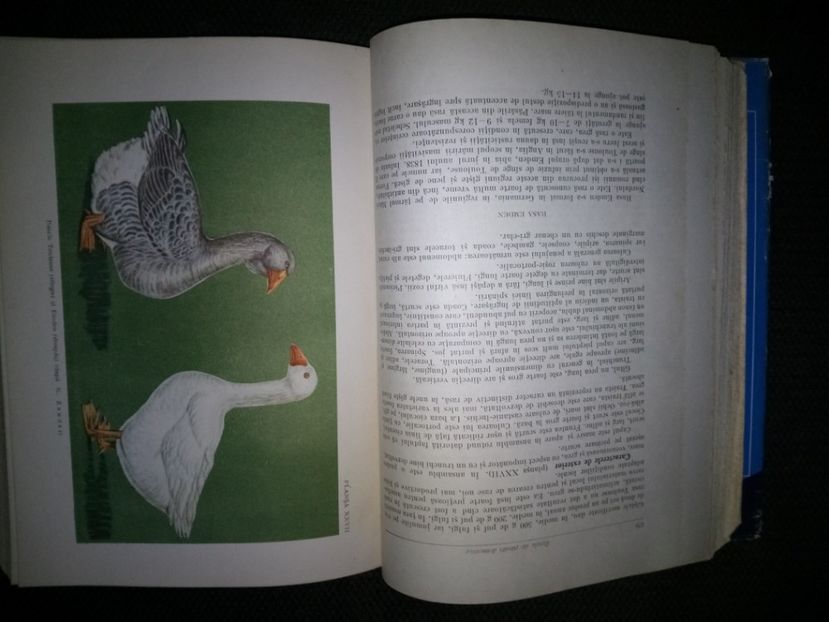 Avicultura - L3 - Literatura despre pasari de curte