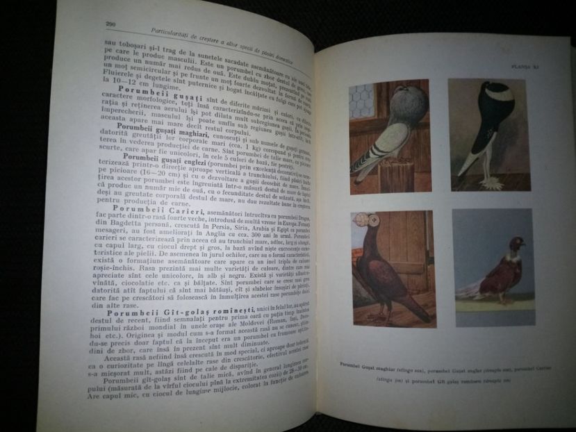Cărți primite - L3 - Literatura despre pasari de curte