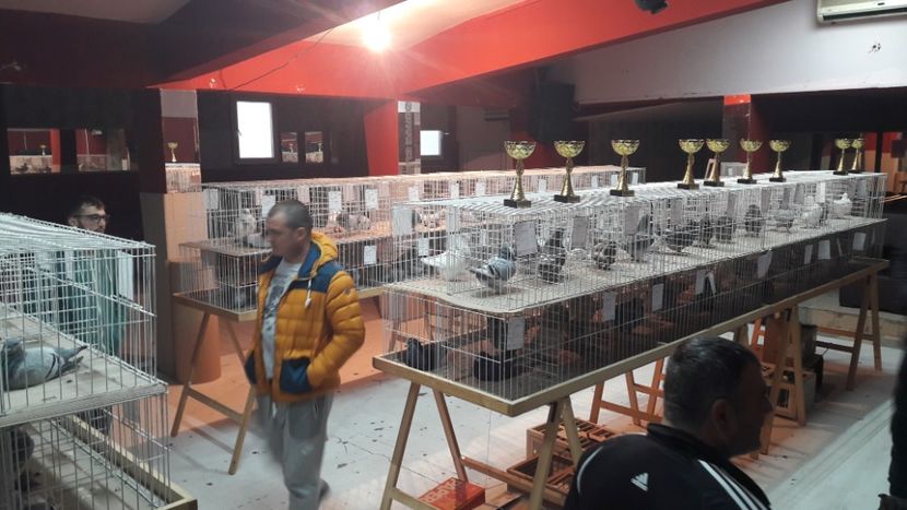  - Expoziția ExpoFauna 2018