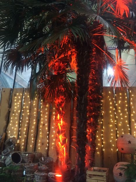 17.11.2018 - A -Magazin