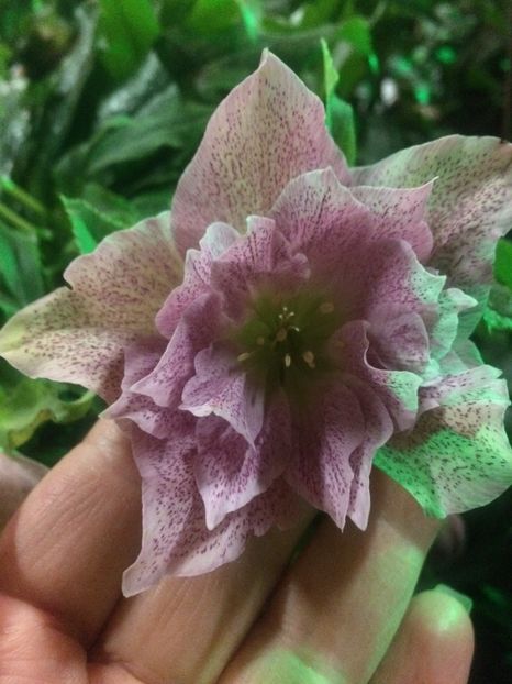 17.11.2018 - A -Magazin