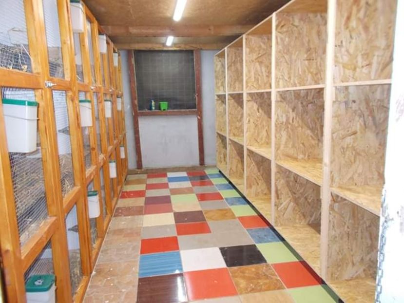 15 boxe dreapta pentru tineret - A---RENOVARE ADAPOST