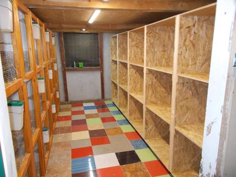  - A---RENOVARE ADAPOST