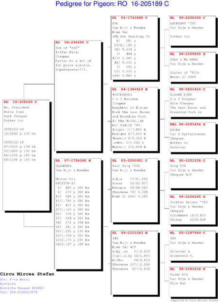 ped "Mr. President" - Mr President