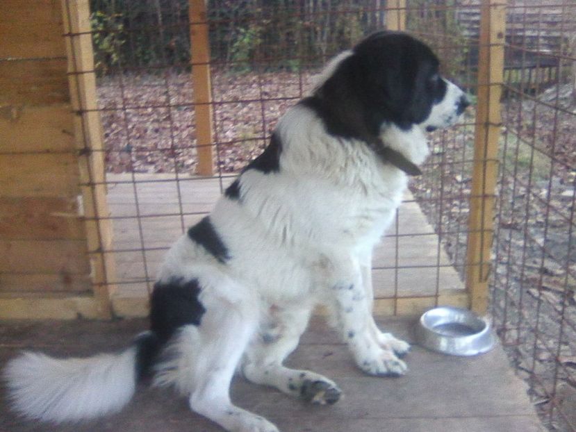 Photo0411 - AA CRB Thor 2018_2019
