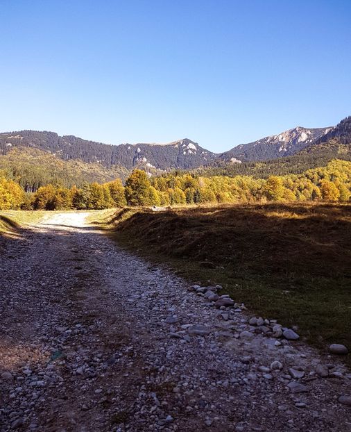  - 06 - Cheia - Muntele Roșu - nov 2018