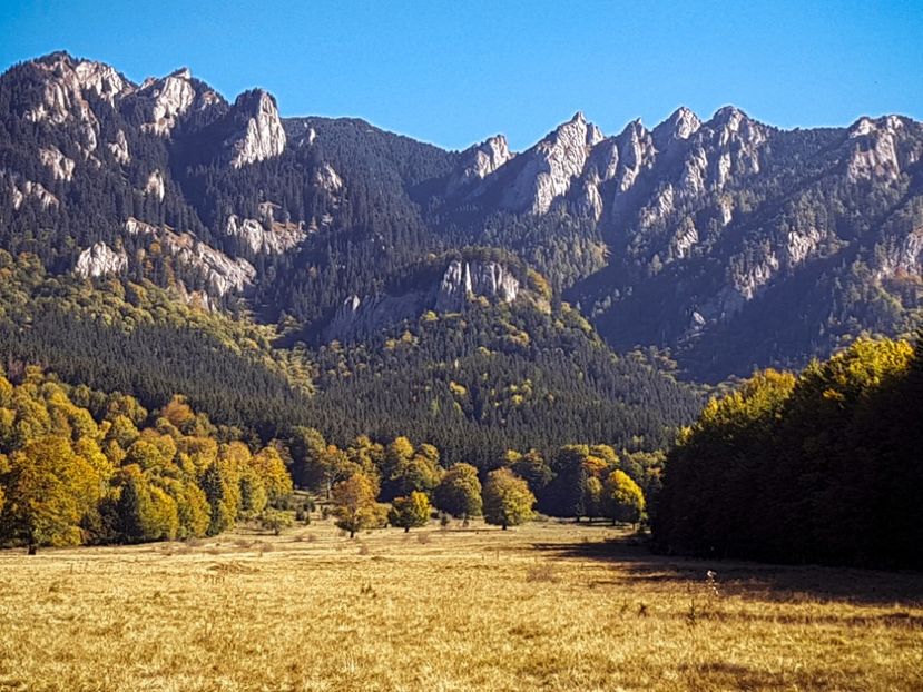  - 06 - Cheia - Muntele Roșu - nov 2018