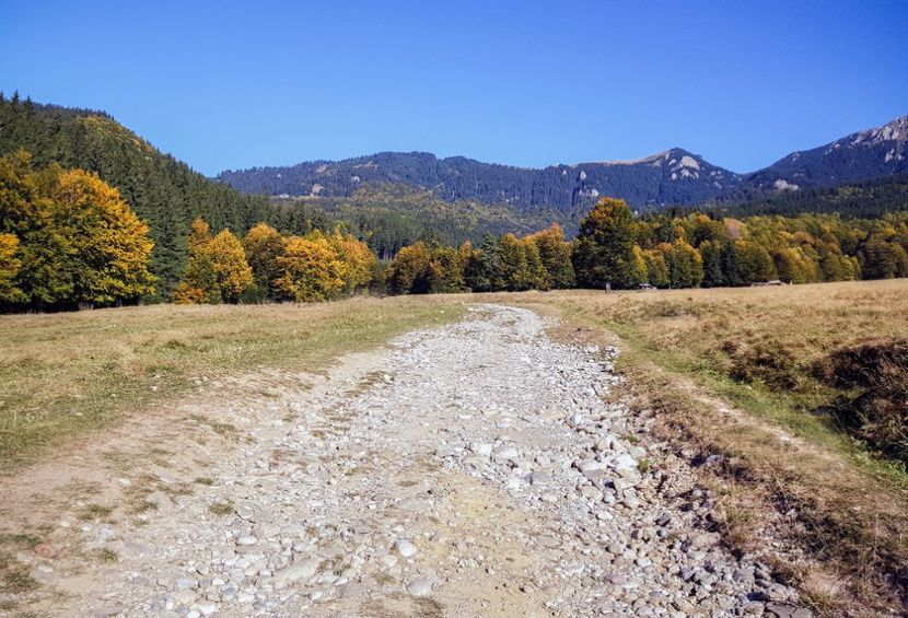  - 06 - Cheia - Muntele Roșu - nov 2018