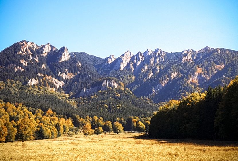 Poiana Gropșoarele - 06 - Cheia - Muntele Roșu - nov 2018