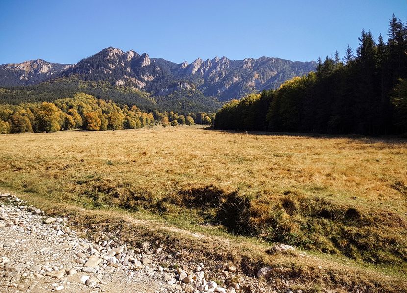  - 06 - Cheia - Muntele Roșu - nov 2018