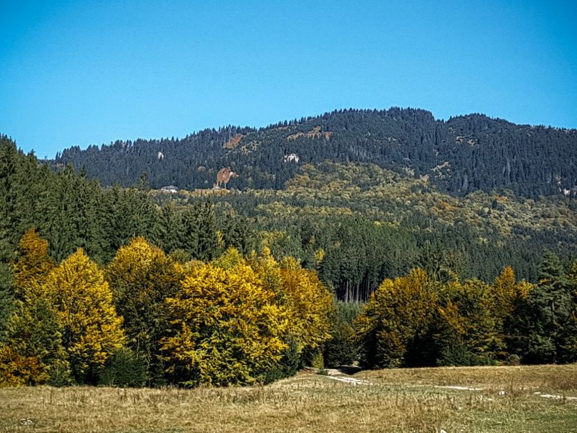  - 06 - Cheia - Muntele Roșu - nov 2018