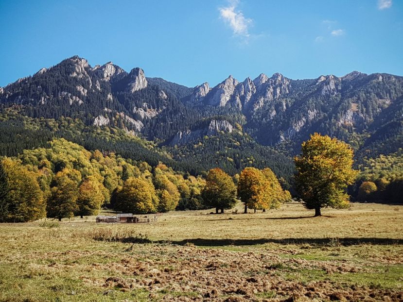  - 06 - Cheia - Muntele Roșu - nov 2018