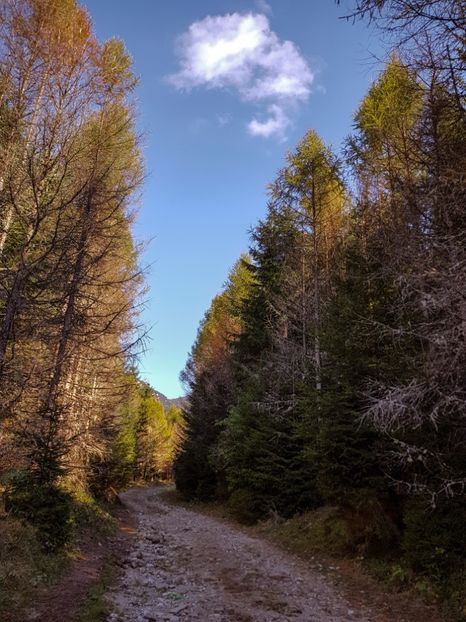  - 06 - Cheia - Muntele Roșu - nov 2018