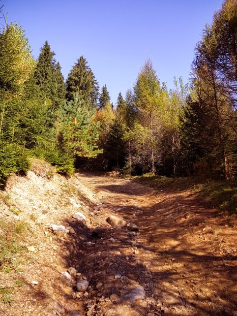  - 06 - Cheia - Muntele Roșu - nov 2018