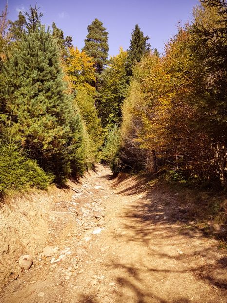  - 06 - Cheia - Muntele Roșu - nov 2018