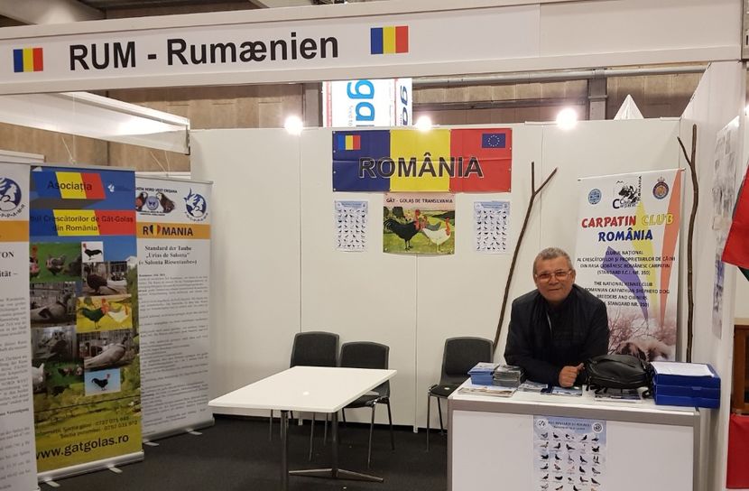20181113_024607 (2) - u EXPO EUROPEANA 2018-Europaschau 2018 Herning DK