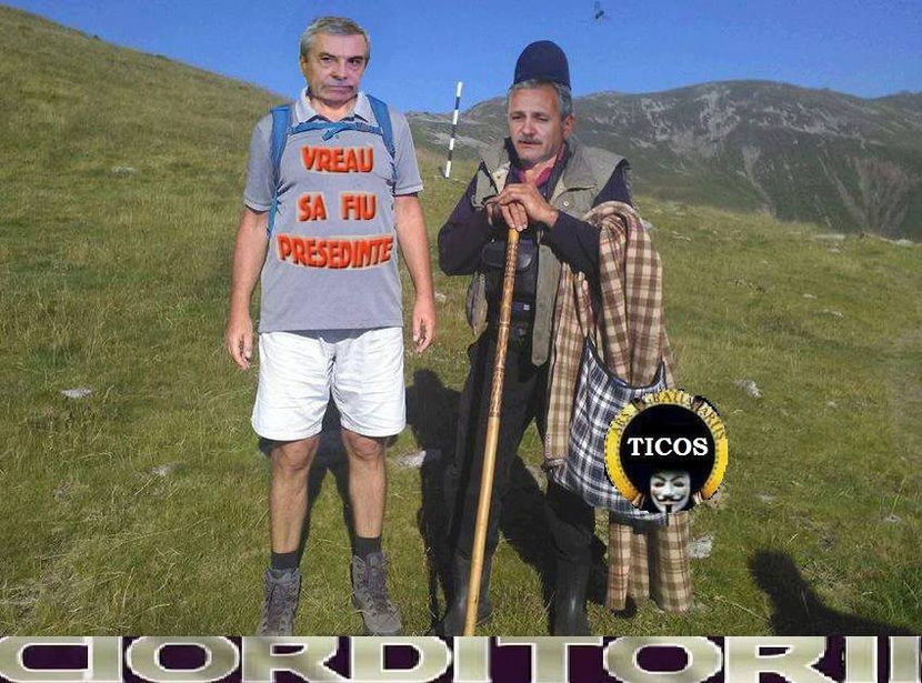  - Poze haioase pamflet