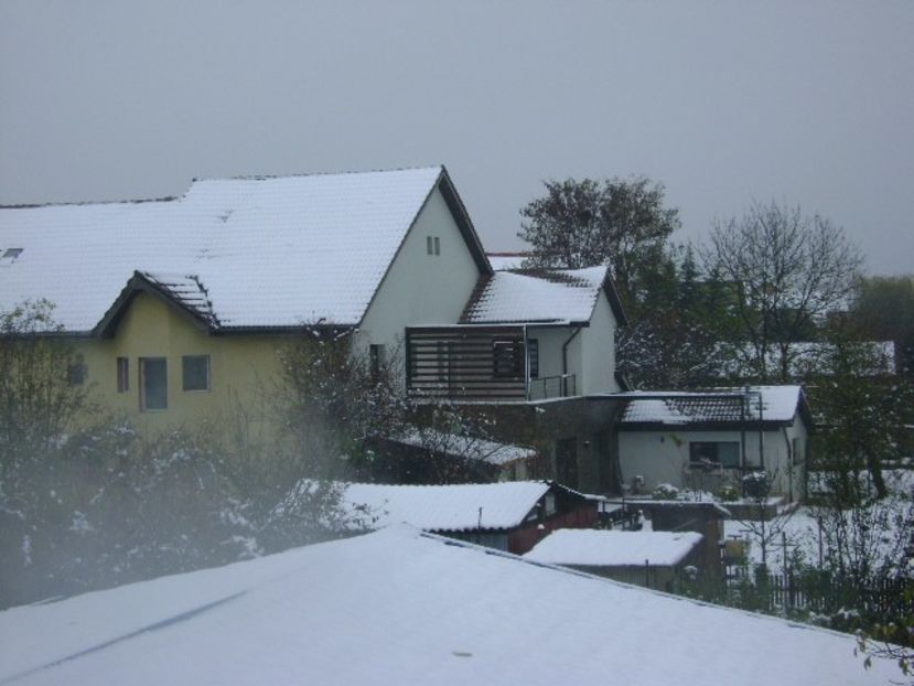 19 nov. 2018 - primul viscol, prima zapada, primul ger - Toamna 2018-2019