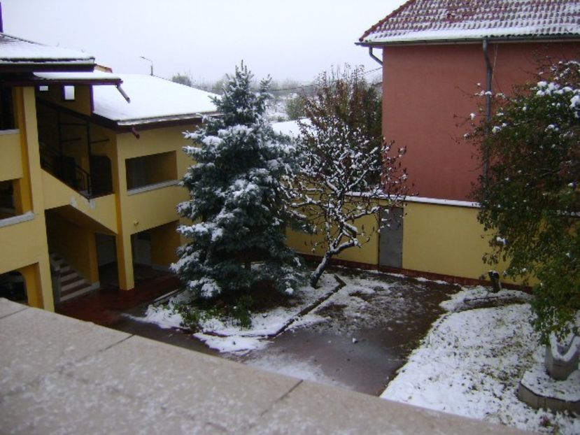19 nov. 2018 - primul viscol, prima zapada, primul ger - Toamna 2018-2019