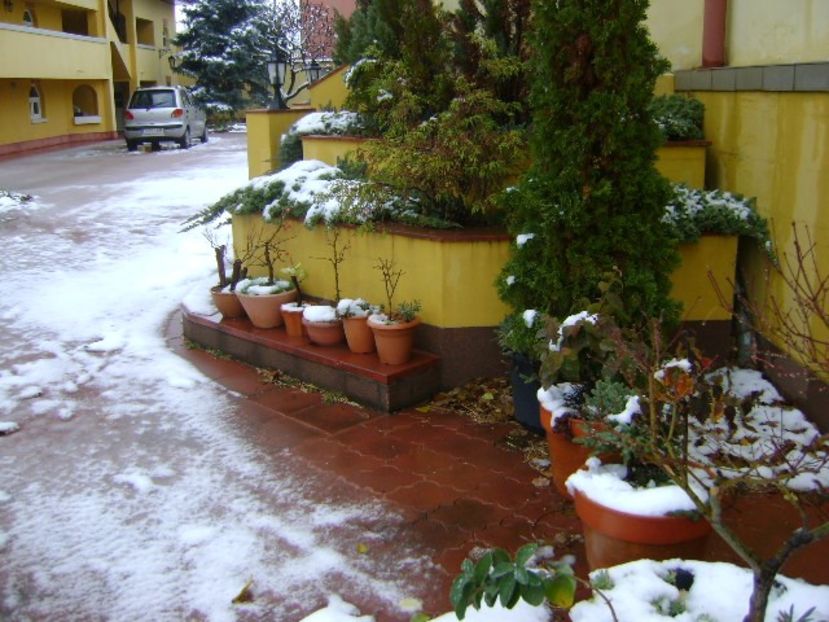 19 nov. 2018 - primul viscol, prima zapada, primul ger - Toamna 2018-2019