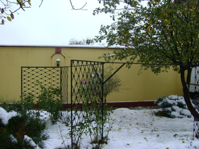 19 nov. 2018 - primul viscol, prima zapada, primul ger - Toamna 2018-2019