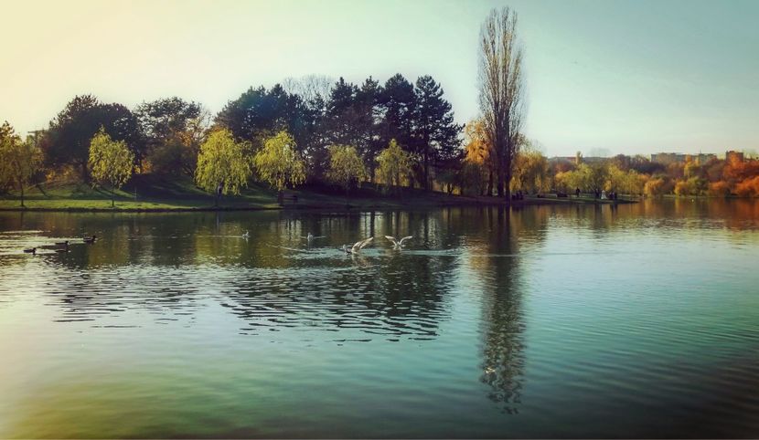  - B - Prin parc