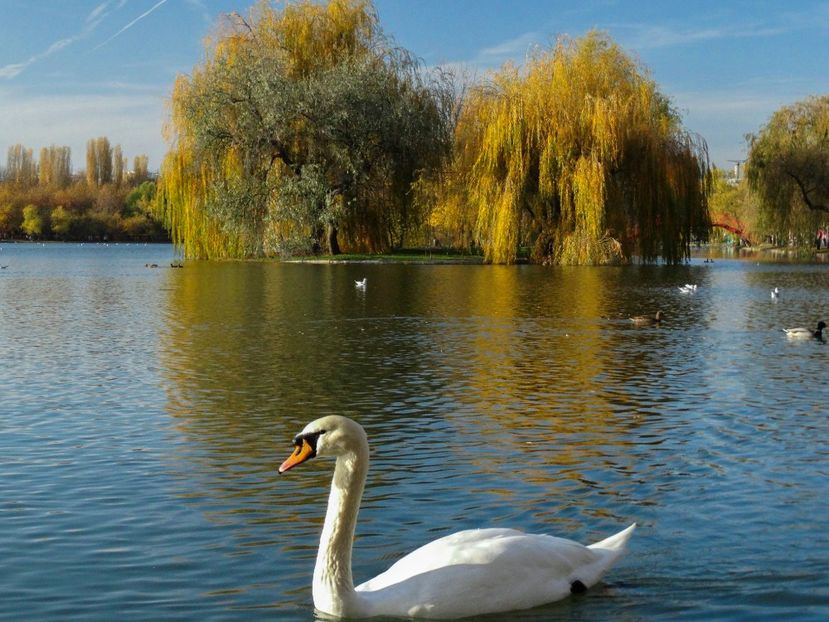  - B - Prin parc
