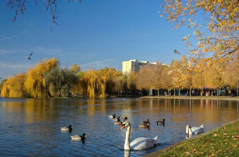  - B - Prin parc