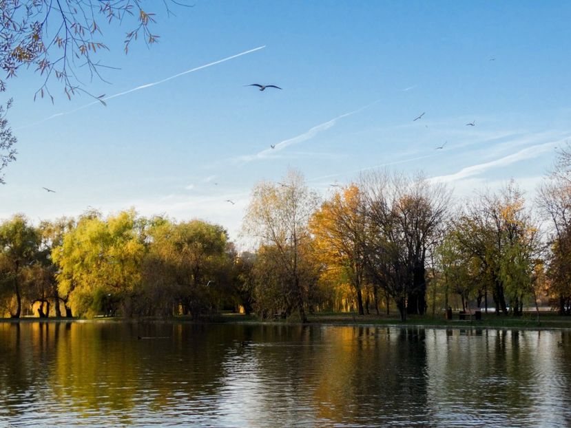  - B - Prin parc