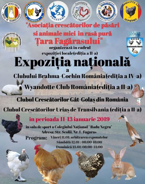 IMG-20181119-WA0066 - Expozitie